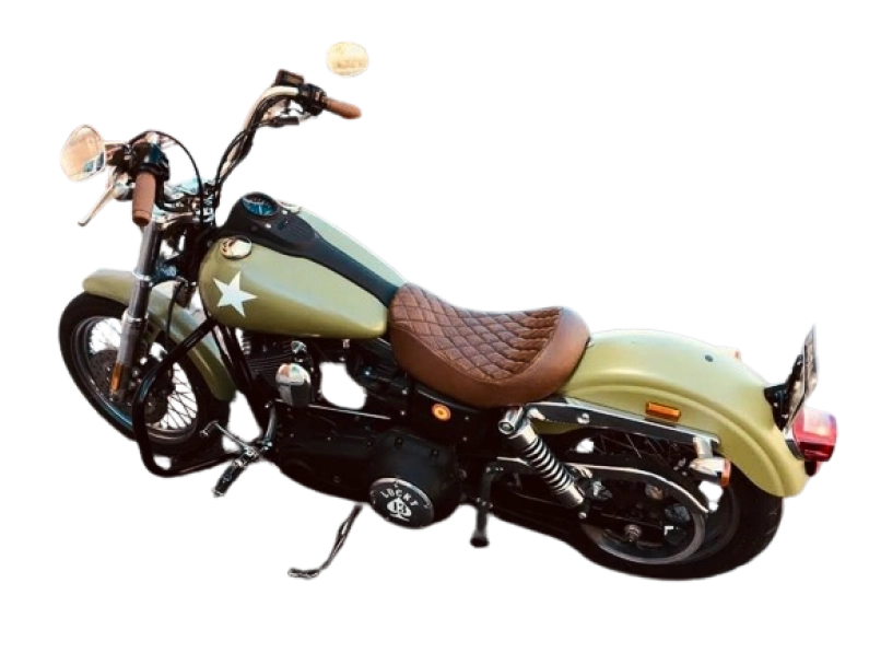 moto home tapizados